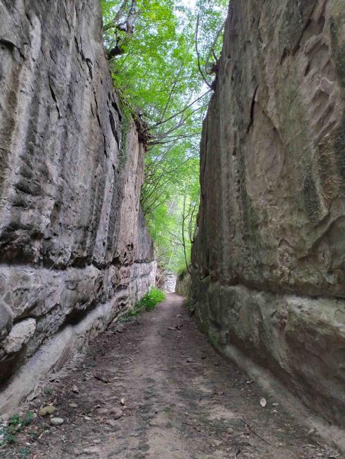 appennino trekking scalata passeggiata scarponi mntagna collina marche monti della laga monti sibillini esperienza scorri adriatico vacanza primavera estate autunno