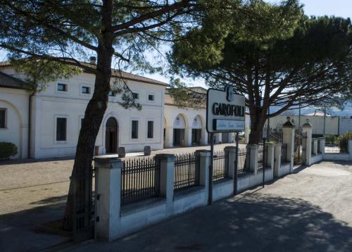 Garofoli castelfidardo marche marchigiano vivi il conero vino vigna bianco rosso vitivinicolo riviera del conero ancona 