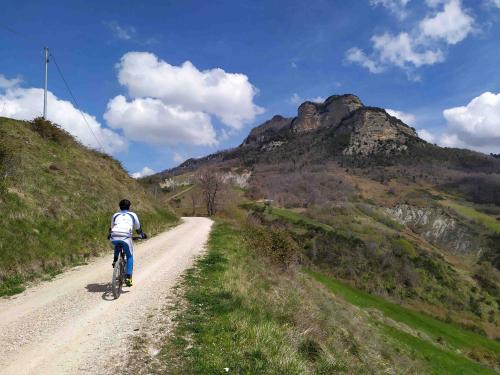 Tour in mountain bike