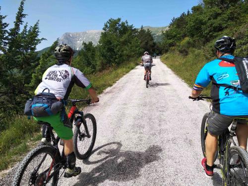 Tour in mountain bike al lago di Gerosa