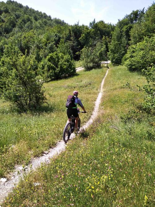 Tour in mountain bike al lago di Gerosa