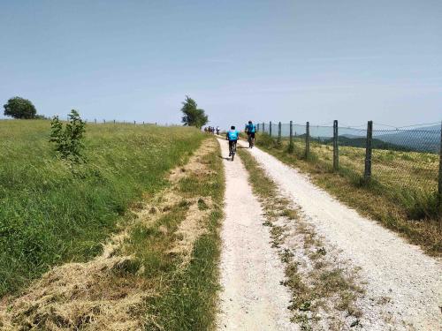 Tour in mountain bike al lago di Gerosa