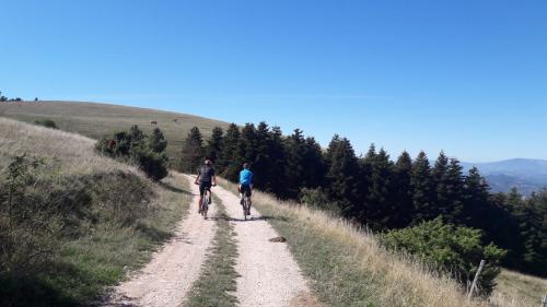 Tour in ebike gola del furlo