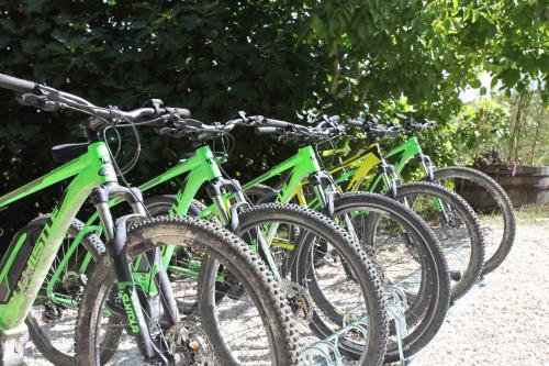 Tour in ebike gola del furlo