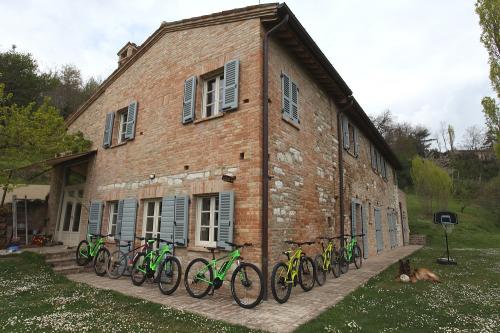 Tour in ebike gola del furlo