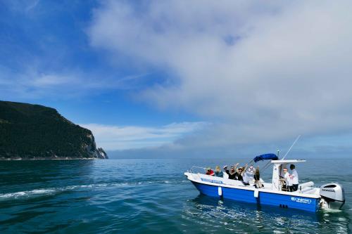 Boat excursion from Numana to Portonovo Bay