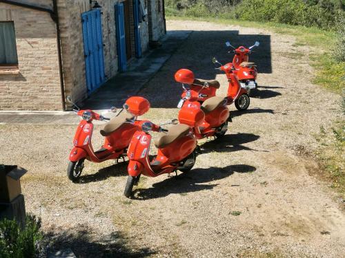 Vespa tour marche