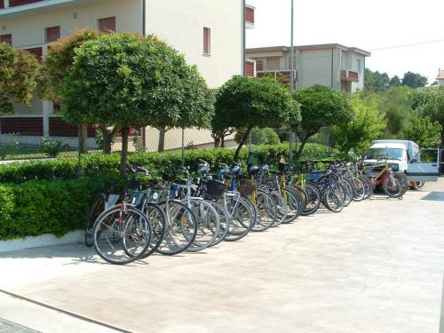 biciclette passeggio lungo mare cicloturismo noleggio settimanale giornaliero esperienza conero riviera ancona numana marcelli 