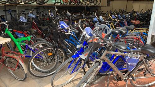 biciclette passeggio lungo mare cicloturismo noleggio settimanale giornaliero esperienza conero riviera ancona numana marcelli 