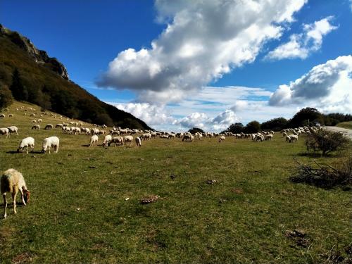 Cingoli apiro macerata marche italia e-bike paesaggio bellezza gita all'aperto panorama escursione gruppo meraviglia interno marchigiano