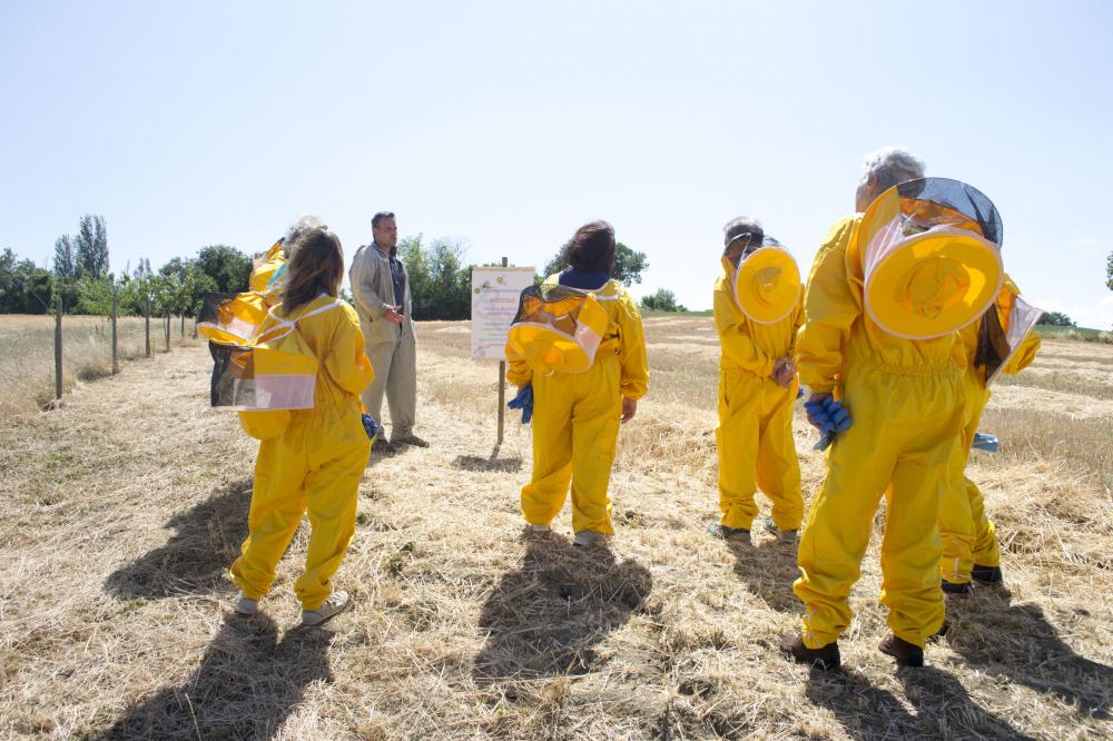 Itinerari nelle Marche: Beekeepers for a day! - Rurally