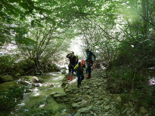 #Canyoning #FossoDelMulino #AvventuraAdrenalinica #CanyoningItalia #SerravalleDiCarda #Piobbico #MinyCanyon #Cascate #AcquaCristallina #Outdoor #SportEstremi #EsperienzeScorri #TurismoAvventura #Marche #ItaliaCentrale