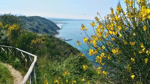 fiorenzuola di focara pesa urbino marche italia trekking bellezze passeggiata paesaggio gruppo esperienza monte san bartolo mare colline montagne 