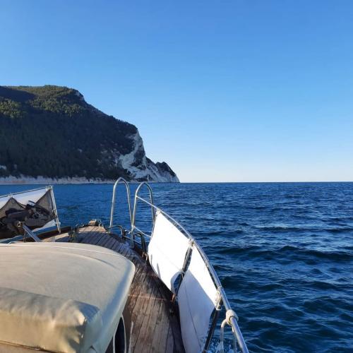 Lupo di mare numana marche mare ancona riviera del conero porto novo mezzavalle trave gabbiani costa tuffi gita in barche escursioni aperitivo gruppi famiglia felicità 