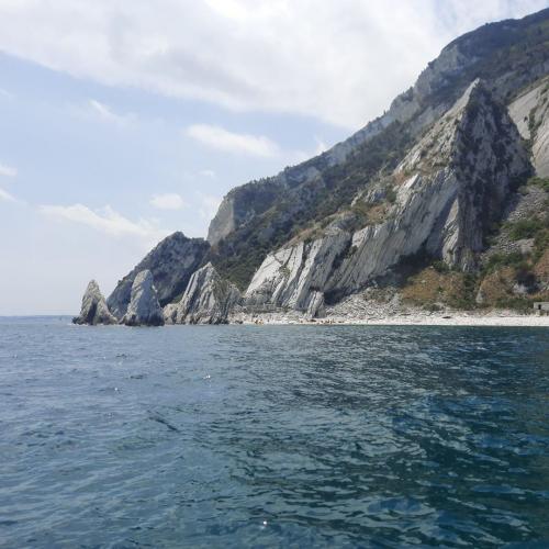 Lupo di mare numana marche mare ancona riviera del conero porto novo mezzavalle trave gabbiani costa tuffi gita in barche escursioni aperitivo gruppi famiglia felicità 