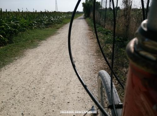 bicicletta bike bici cycling bicycle ciclismo italy cyclinglife italia Marche conero ancona numana sirolo  sport bikeporn nature velo cyclingpics natura cyclingphotos roadbike bikelife bicicleta cycle cicloturismo instacycling mtb instabike fitness cyclist love instagood ciclista