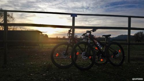 bicicletta bike bici cycling bicycle ciclismo italy cyclinglife italia Marche conero ancona numana sirolo  sport bikeporn nature velo cyclingpics natura cyclingphotos roadbike bikelife bicicleta cycle cicloturismo instacycling mtb instabike fitness cyclist love instagood ciclista
