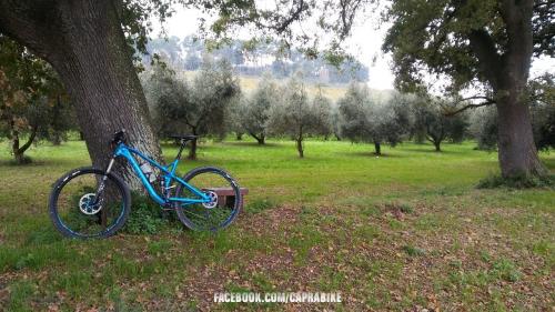 bicicletta bike bici cycling bicycle ciclismo italy cyclinglife italia Marche conero ancona numana sirolo  sport bikeporn nature velo cyclingpics natura cyclingphotos roadbike bikelife bicicleta cycle cicloturismo instacycling mtb instabike fitness cyclist love instagood ciclista