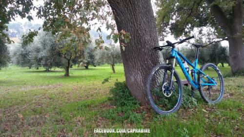 bicicletta bike bici cycling bicycle ciclismo italy cyclinglife italia Marche conero ancona numana sirolo  sport bikeporn nature velo cyclingpics natura cyclingphotos roadbike bikelife bicicleta cycle cicloturismo instacycling mtb instabike fitness cyclist love instagood ciclista