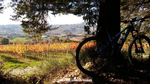 bicicletta bike bici cycling bicycle ciclismo italy cyclinglife italia Marche conero ancona numana sirolo  sport bikeporn nature velo cyclingpics natura cyclingphotos roadbike bikelife bicicleta cycle cicloturismo instacycling mtb instabike fitness cyclist love instagood ciclista