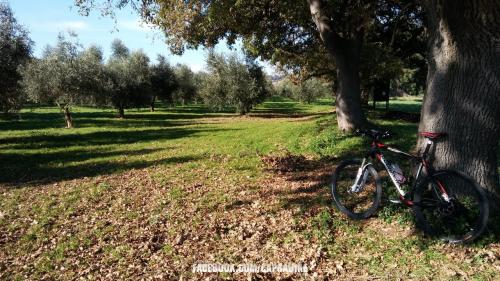 bicicletta bike bici cycling bicycle ciclismo italy cyclinglife italia Marche conero ancona numana sirolo  sport bikeporn nature velo cyclingpics natura cyclingphotos roadbike bikelife bicicleta cycle cicloturismo instacycling mtb instabike fitness cyclist love instagood ciclista