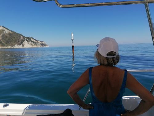 barche mare sea porto italy boat	italia boats	sky summer estate tramonto	travel sunset	yacht picoftheday clouds photography	photooftheday cielo	igersitalia instagood	sardegna barca love sun landscape beach sole relax