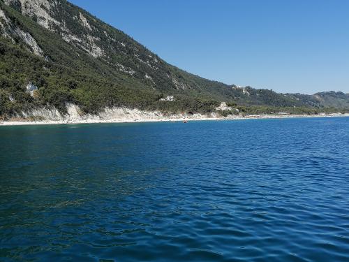 Gita in barca riviera del conero bellezza marche adriatico paesaggi esperienza brezza marina gruppi famiglia esperti marinai numana porto ancona marche 
