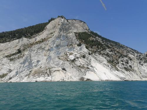 Gita in barca riviera del conero bellezza marche adriatico paesaggi esperienza brezza marina gruppi famiglia esperti marinai numana porto ancona marche 