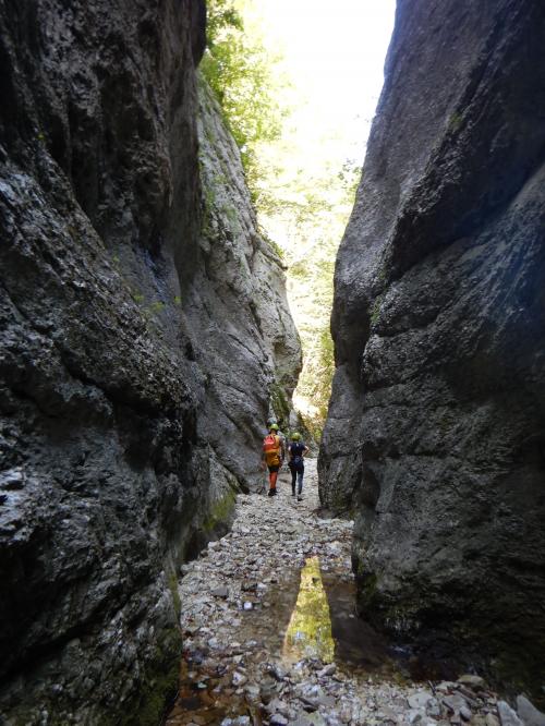 Rio freddo Canyoning esperienze fiume marche cordata cascate pesaro urbino 