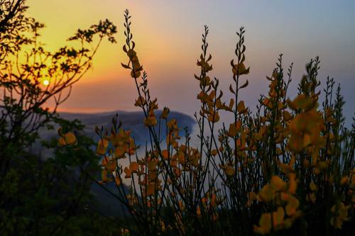 tramonto conero natura vacanza trekking passeggiata natura colori mare sole emozionante romantico mozzafiato esperienza 