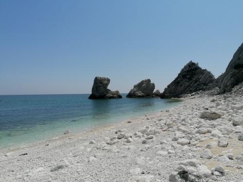 tour barca riviera del conero mare spiaggia vacanze due sorelle monte conero gabbiani san michele sassi neri madonnina aperitivo bagno 