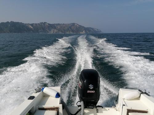 tour barca riviera del conero mare spiaggia vacanze due sorelle monte conero gabbiani san michele sassi neri madonnina aperitivo bagno 