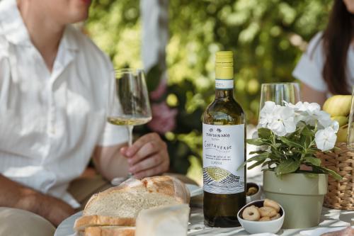 Tour dei vigneti con vista panoramica in una cantina locale