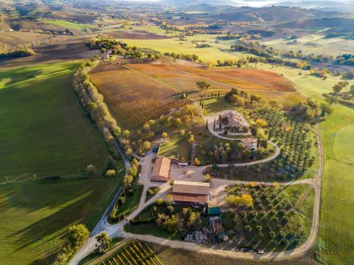 Tour dei vigneti con vista panoramica in una cantina locale