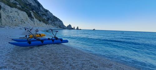 Persona in waterbike lungo la costa della Riviera del ConeroWaterbike su acqua cristallina con sfondo di scogliere biancheAlba vista dalla waterbike a largo del ConeroGruppo di persone in escursione waterbike vicino alla Spiaggia delle Due SorelleTramonto dorato sulla Riviera del Conero visto da una waterbikeVista panoramica della costa marchigiana da una waterbike in mareTour guidato in waterbike con paesaggi naturali mozzafiatoDettaglio di una waterbike galleggiante sull'acqua limpida del Conero