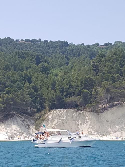 Gita in barca riviera del conero bellezza marche adriatico paesaggi esperienza brezza marina gruppi famiglia esperti marinai numana porto ancona marche 