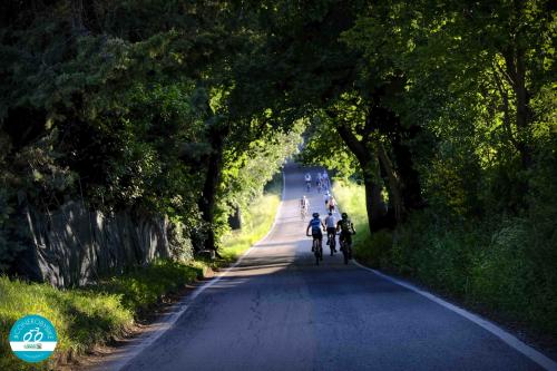 bike monte conero riviera esperienza due ruote gruppi escursione sole mare collina numana sirolo marche adriatico ancona bellezza paesaggio 