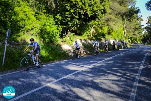 bike monte conero riviera esperienza due ruote gruppi escursione sole mare collina numana sirolo marche adriatico ancona bellezza paesaggio 